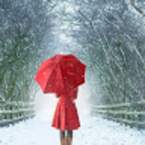 Meet your Posher, Jolene